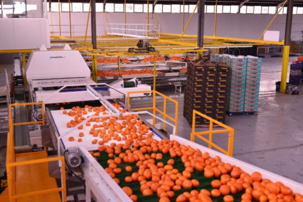 果蔬智能分拣.png 果蔬智能分拣.png