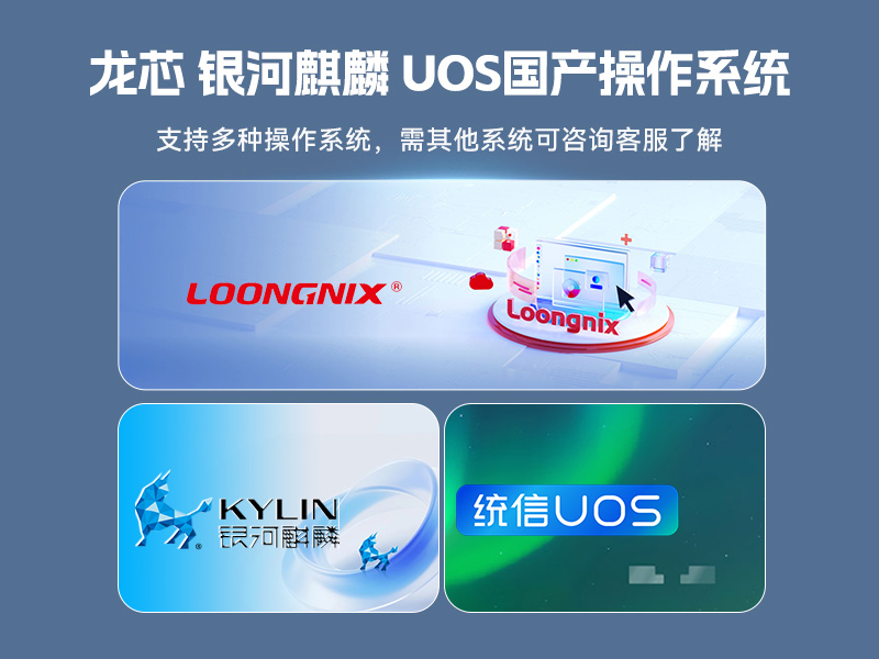 国产化多网口工控机,龙芯LS3A5000安全主机,DT-61013-P3A5K