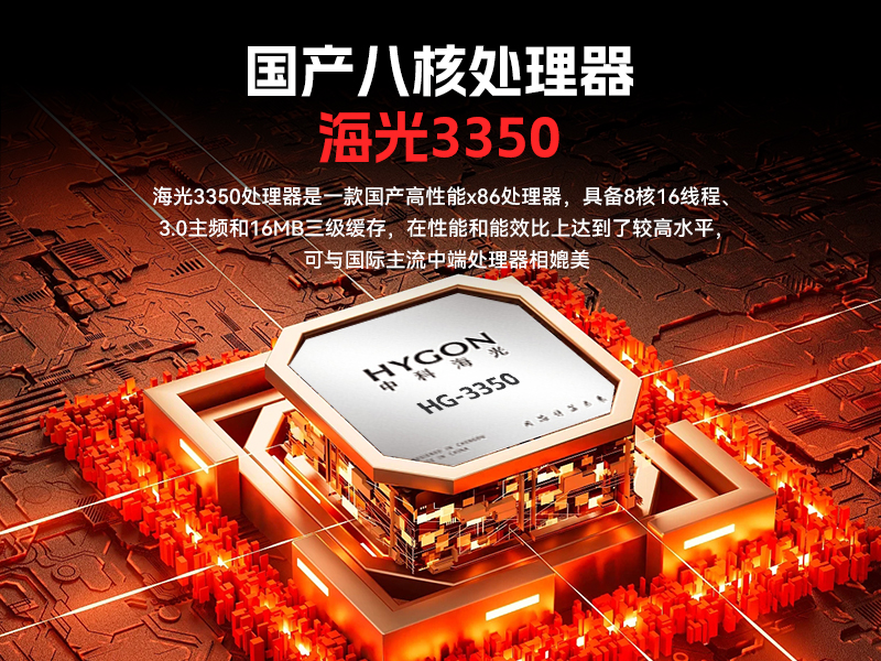 17.3寸双屏加固机,海光3350国产信创便携机,DTG-2173CU-M3350MC